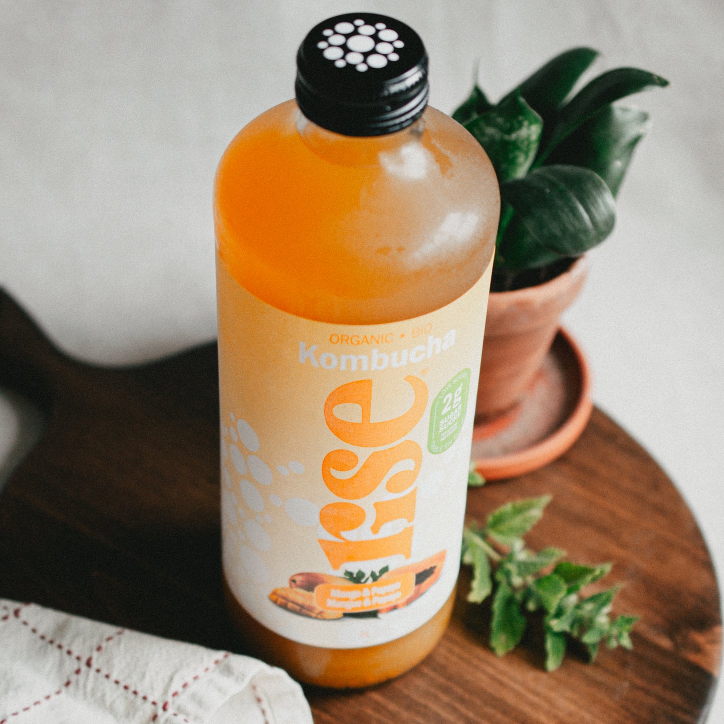 Rise Mango Papaya Kombucha