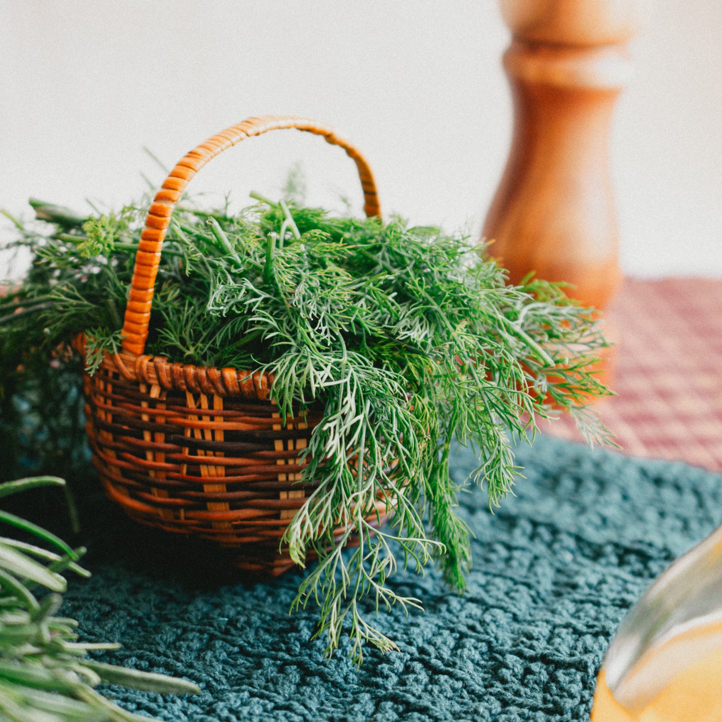 Dill