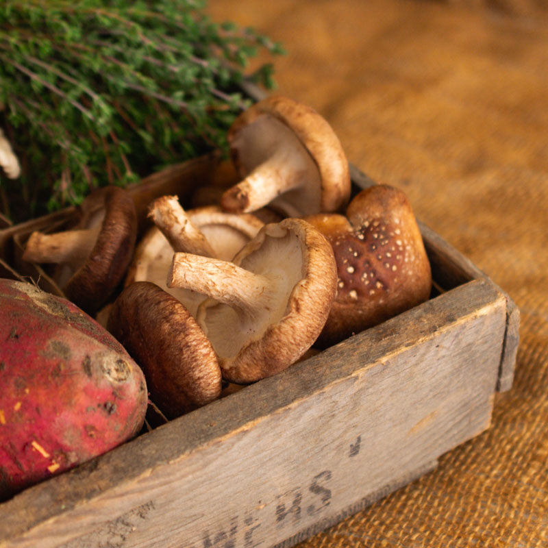 Shiitake Mushrooms