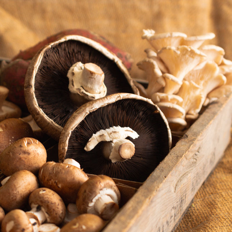 Portabello Mushrooms