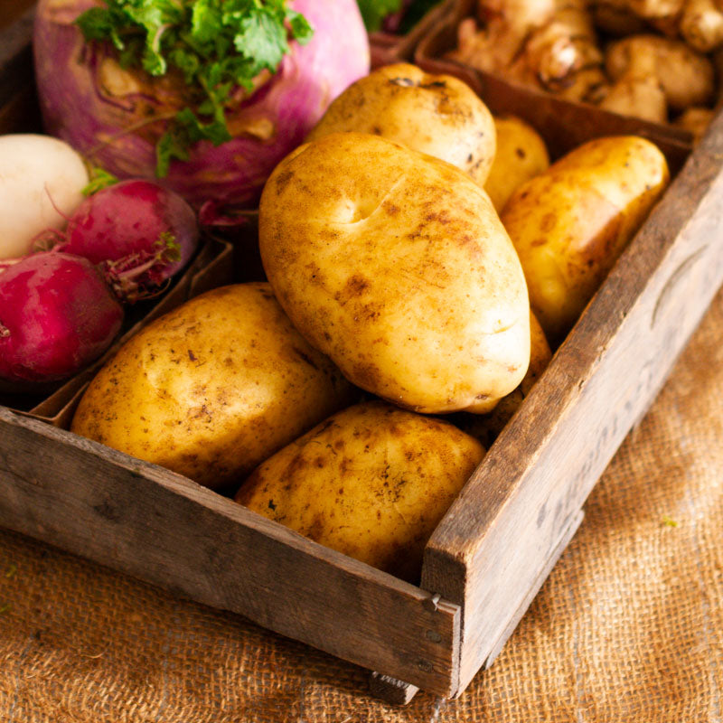 Kennebec Potatoes