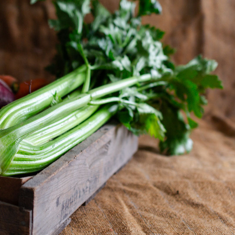 Celery