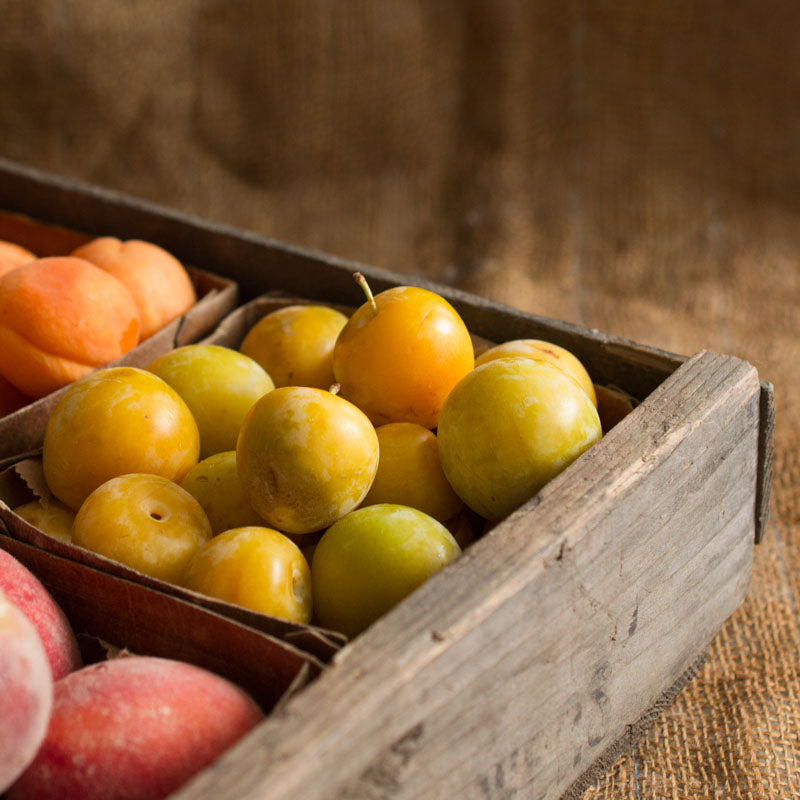 Amber Plums