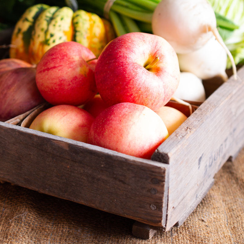 Gala Apples