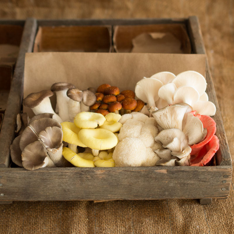 Chef's Mushroom Mix