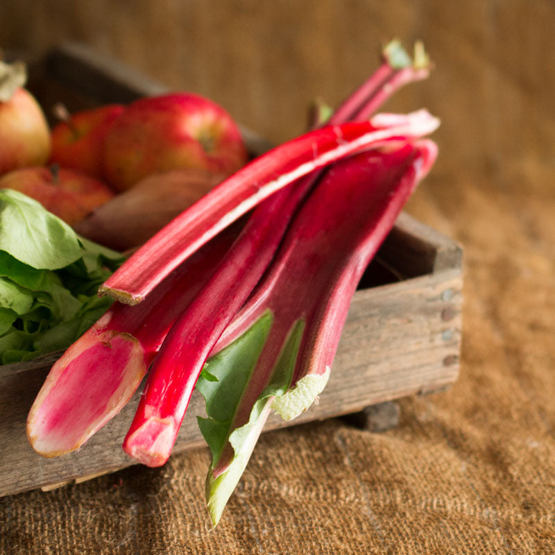 Rhubarb