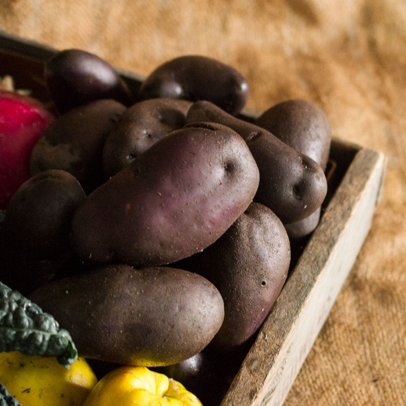 Purple Sensation Potatoes