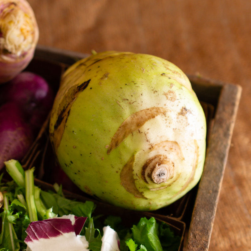 Kohlrabi