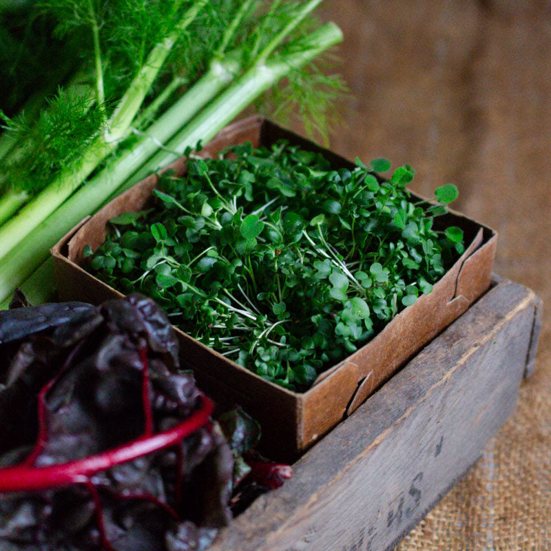 Microgreens