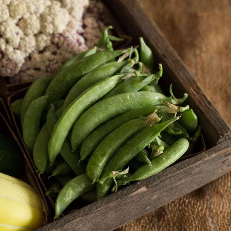 Sugar Snap Peas