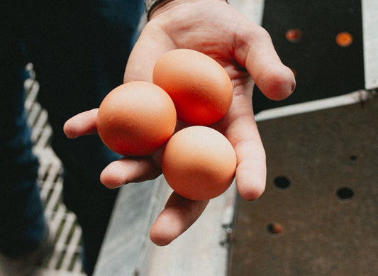 Are Darker Yolks Healthier?