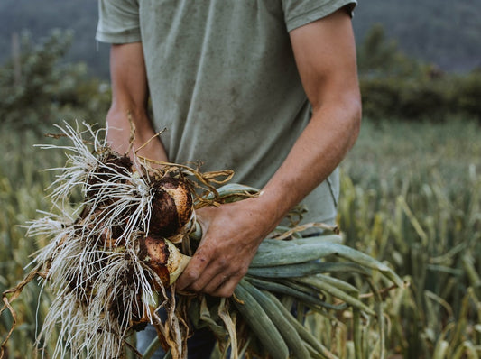 Deep Dirt: Finding a Soil-Focused Veggie Farmer
