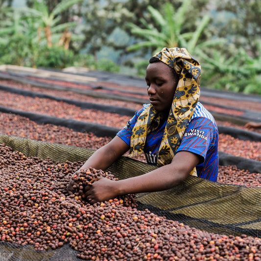 Can You Taste Social Justice in Your Coffee Cup?