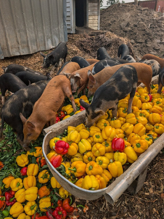 This Pork Tastes Different (and That's a Good Thing)