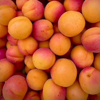 Apricots