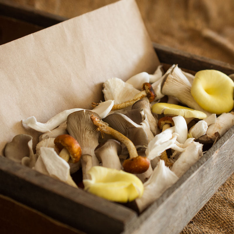 Chopped Mushroom Mix