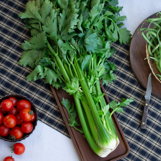 Celery