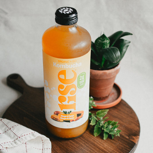 Rise Mango Papaya Kombucha