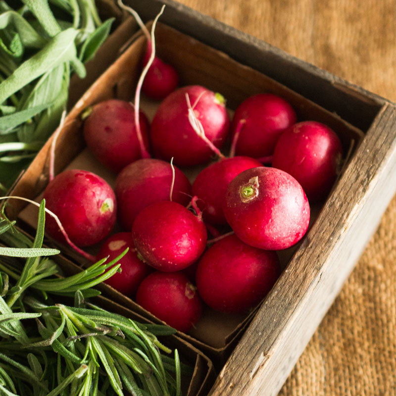 Radishes