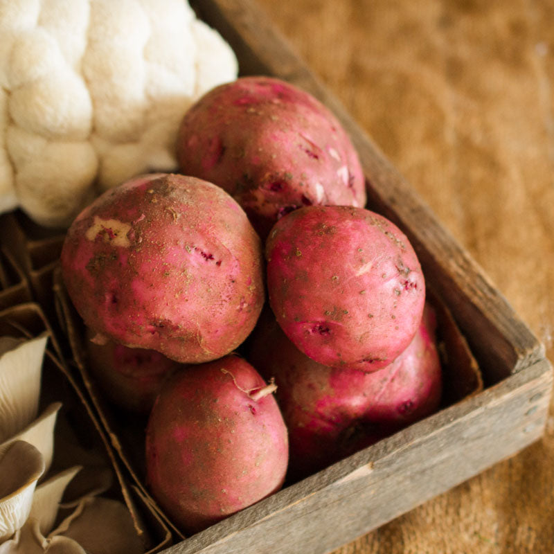 Red Chieftain Potatoes