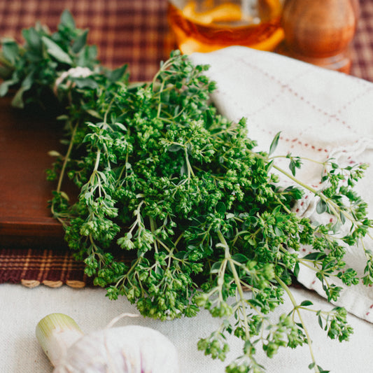 Oregano