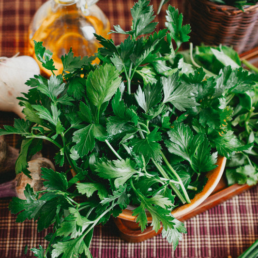 Parsley