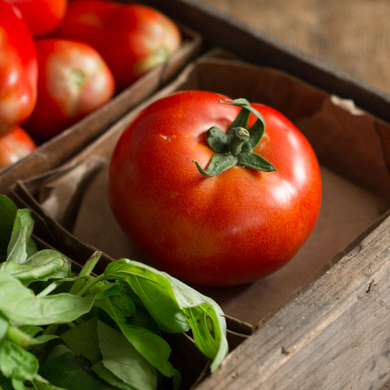 Beefsteak Tomato