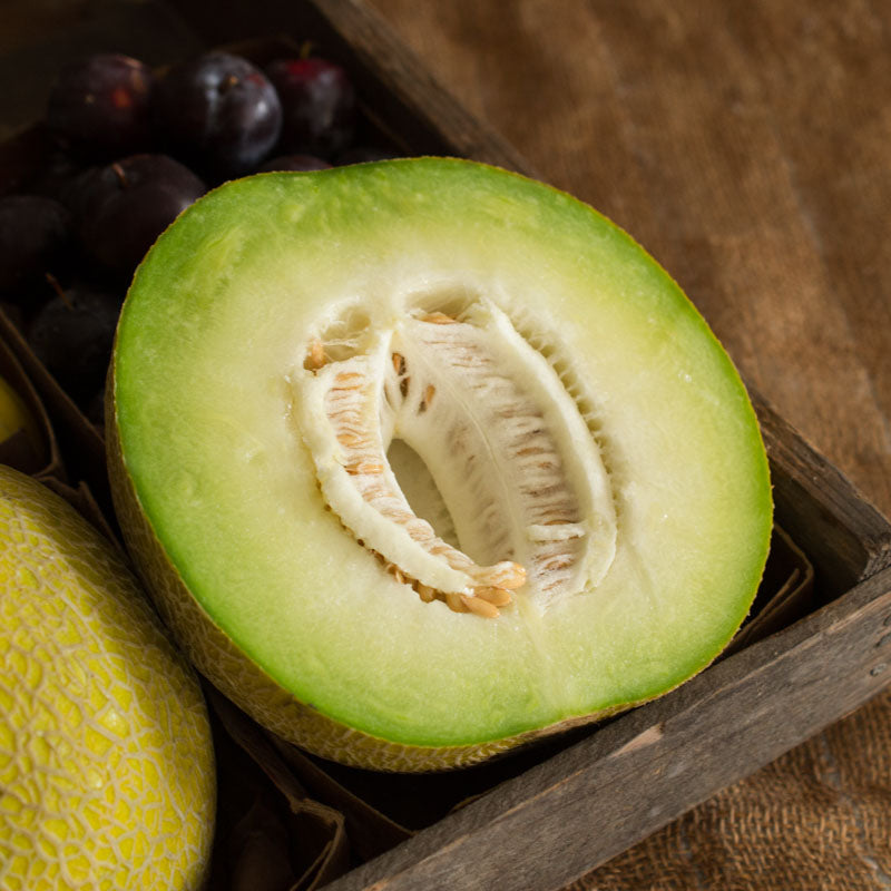 Galia Honeydew Melon