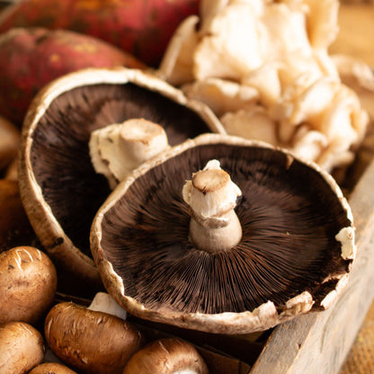 Portabello Mushrooms