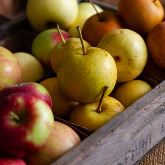 Nijisseiki Asian Pears