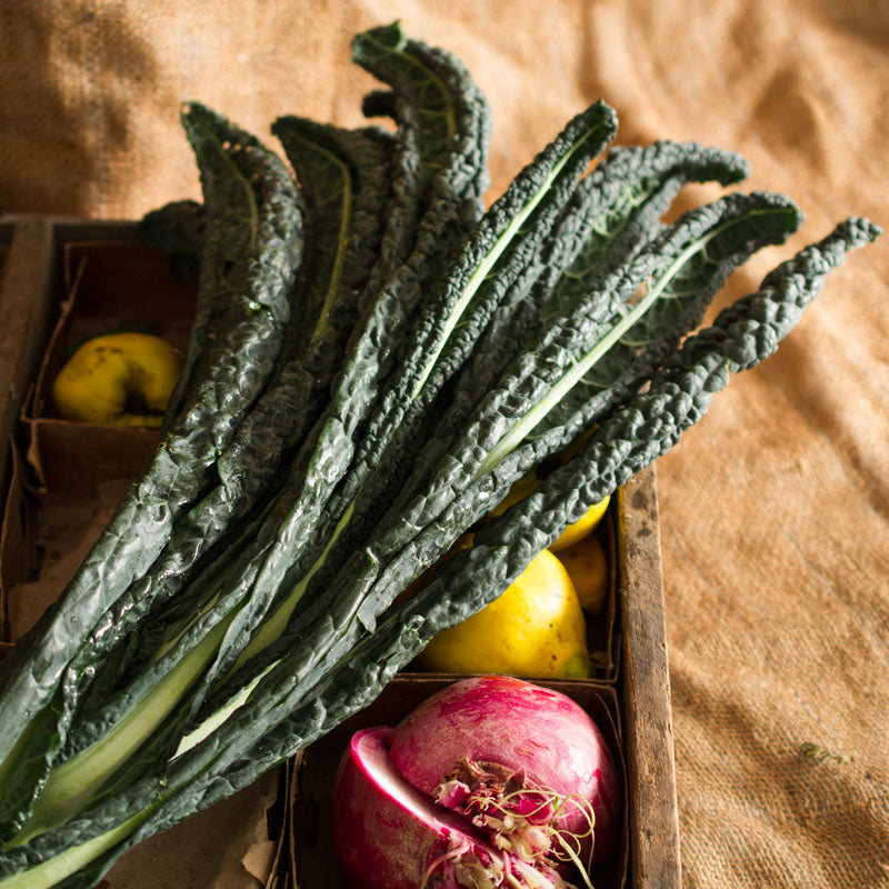 Black Kale