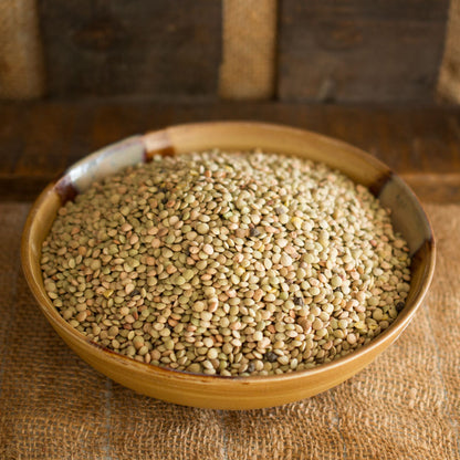 Dried Green Lentils