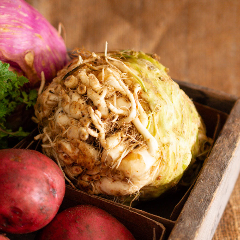 Celeriac