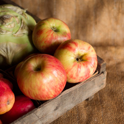 Honey Crisp Apples