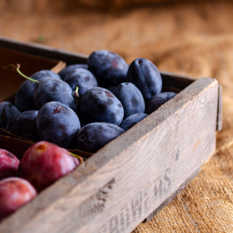Italian Plums