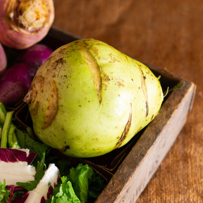 Kohlrabi