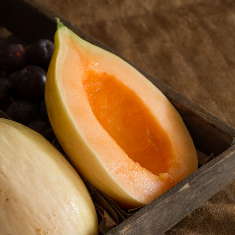 Lilly Melon