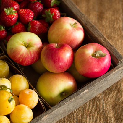 Spartan Apples