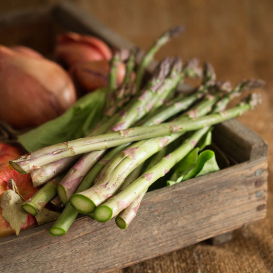 Asparagus