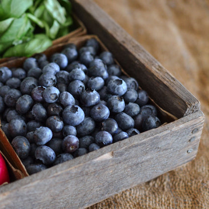 Blueberries