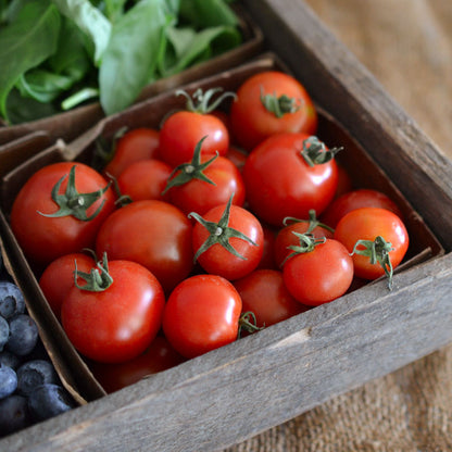 Cherry Tomatoes