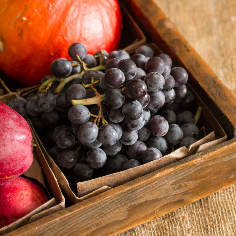 Coronation Grapes