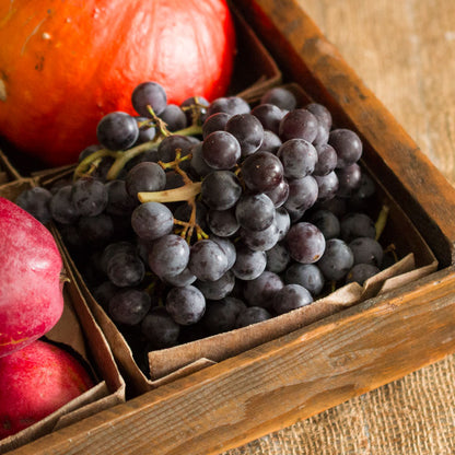 Coronation Grapes
