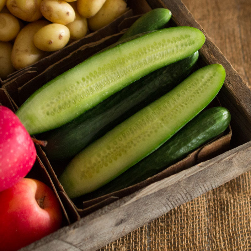 Mini Cucumbers