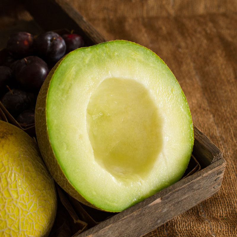 Galia Honeydew Melon