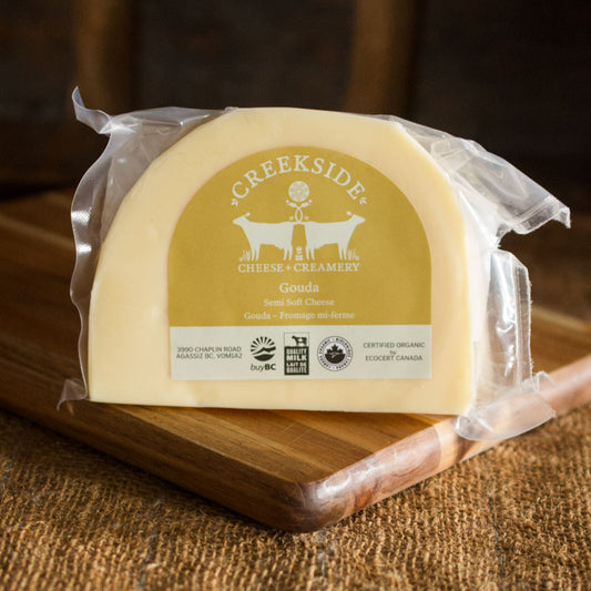 Gouda