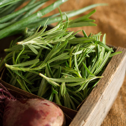 Rosemary