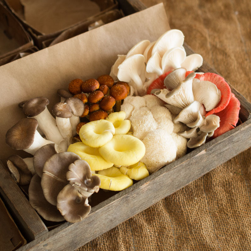 Chef's Mushroom Mix