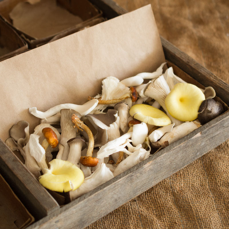 Chopped Mushroom Mix