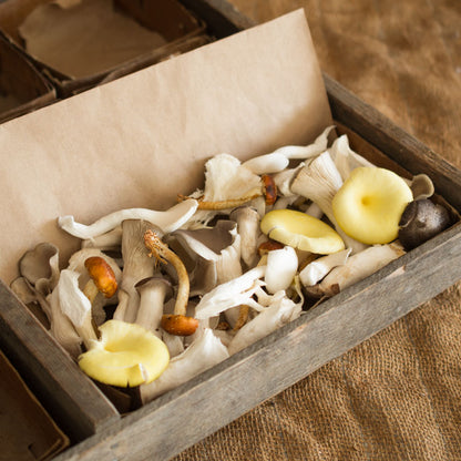 Chopped Mushroom Mix
